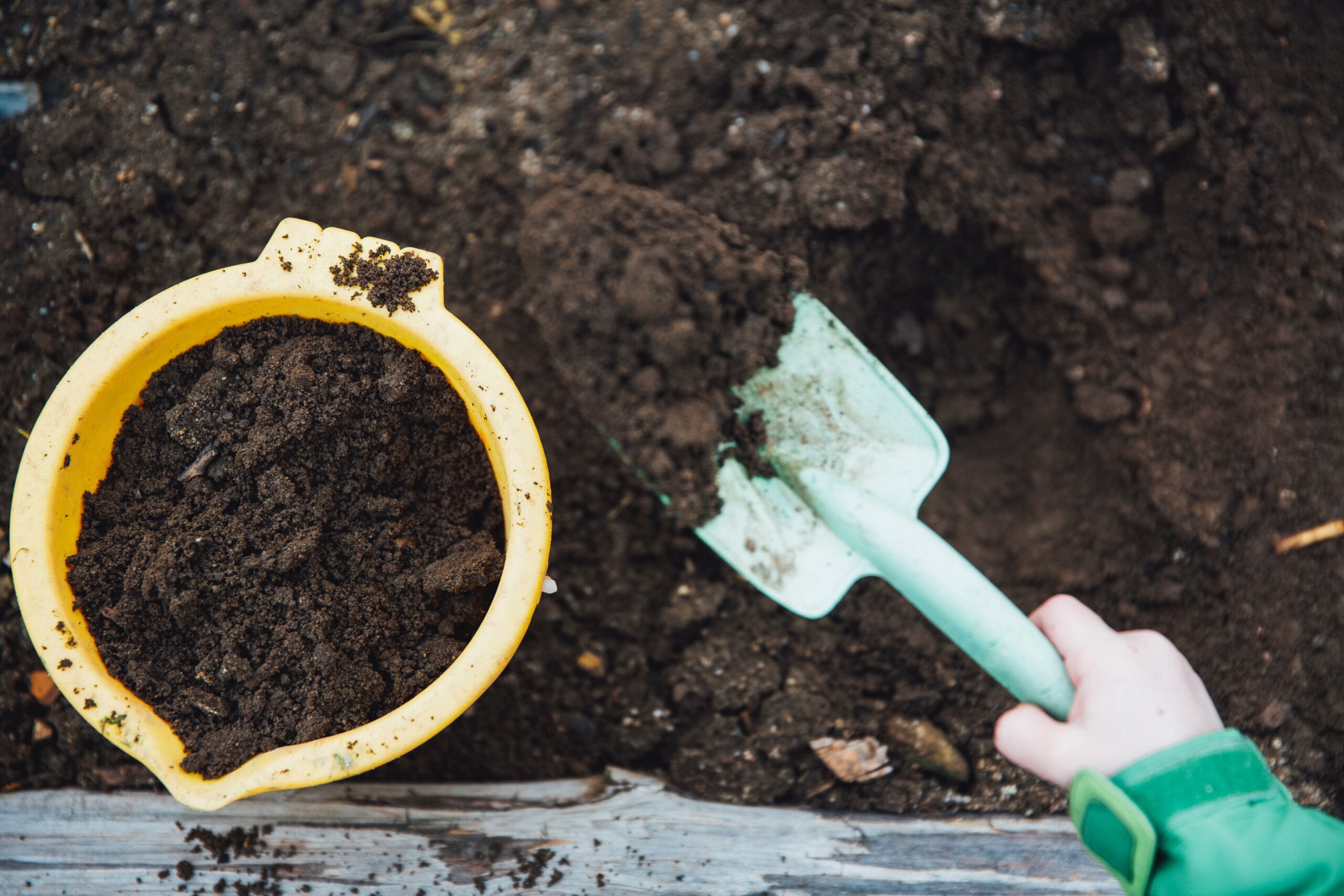 Why your gut is like a human compost